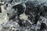 Purple/Green Fluorite Crystals with Muscovite - Yaogangxian Mine #364630-1